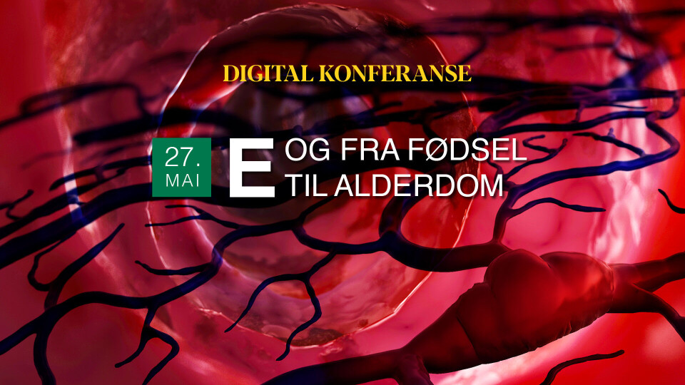 Digital konferanse: Andre dag