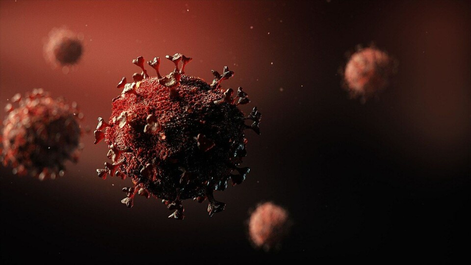 SARS-CoV-2. Illustrasjon: We Are Covert (24. mars 2020)