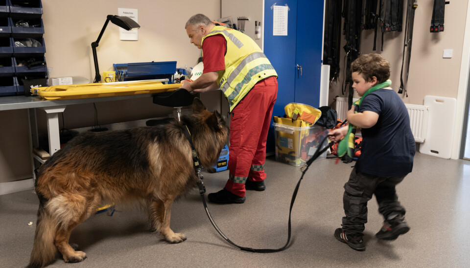 PÅ VERKSTED: Sønnen Theo (5) er med pappa på jobb og passer på deres ni år gamle schæfer. Sønnen Theo (8) er med pappa på jobb og passer på deres ni år gamle schæfer